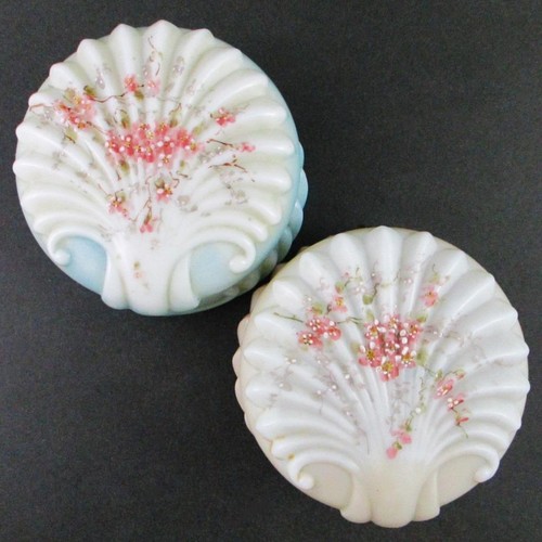 Pair blown out shell - shell, antique
